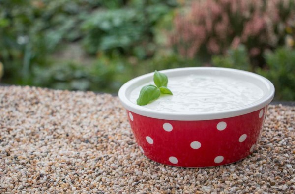 Tzatziki
