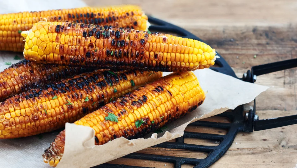 Maiskolben grillen: Dieses Bild zeigt goldgelbe, gegrillte Maiskolben, die mit dunklen Röststreifen und frischen Kräutern verziert sind.